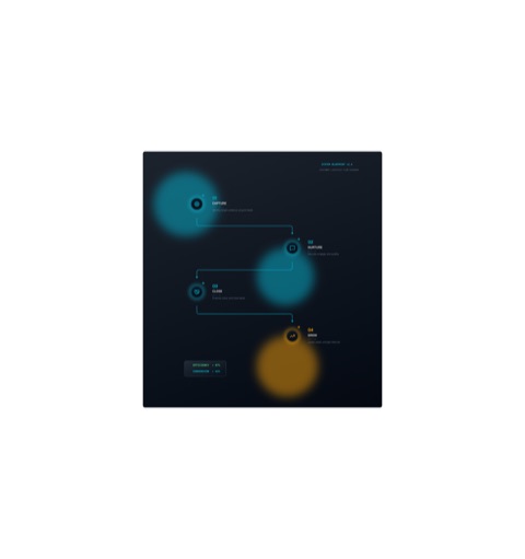 Customer Lifecycle Flow preview